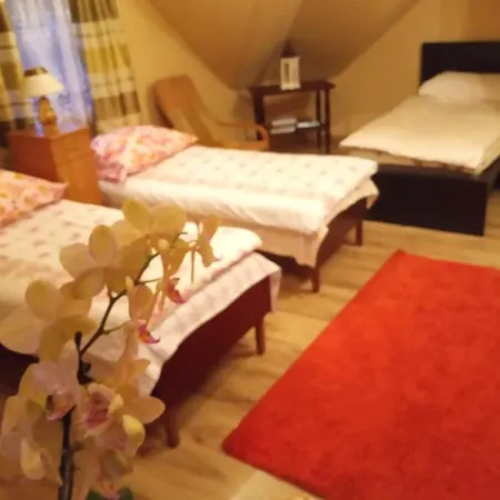 Ferienhaus III Bike'Owy Domek Nad Jeziorem Czorsztynskim