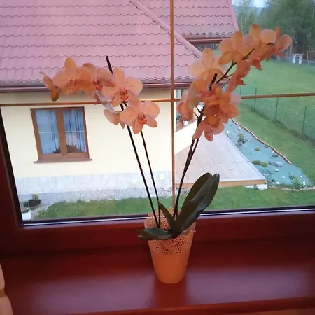 III Bike'Owy Domek Nad Jeziorem Czorsztynskim *